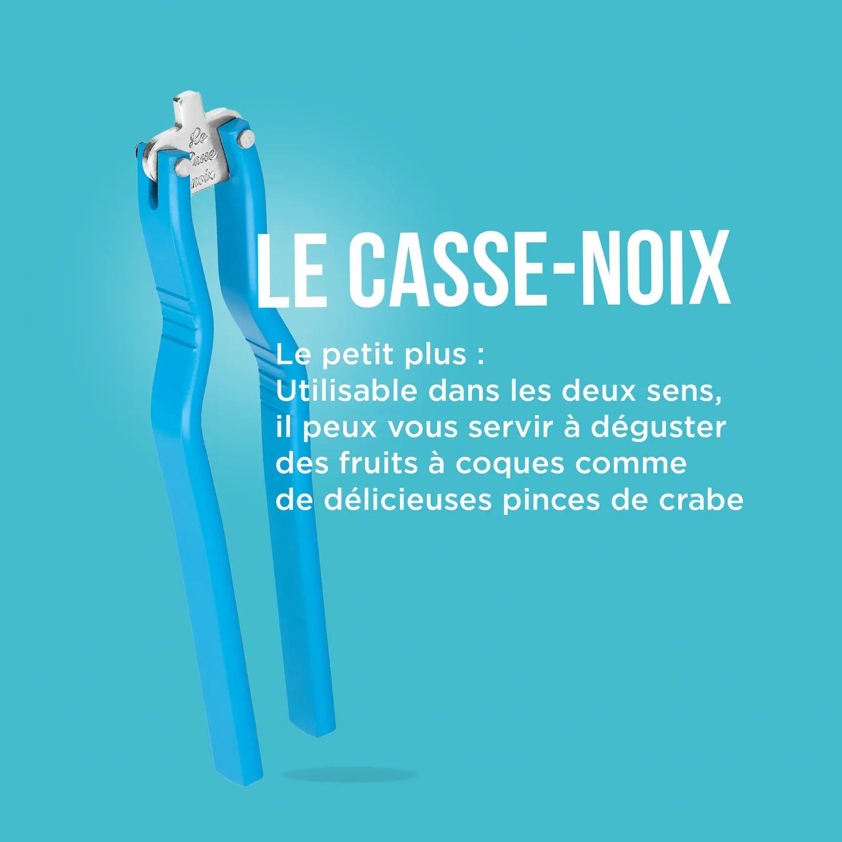 CASSE NOIX LA CARAFE AZUR